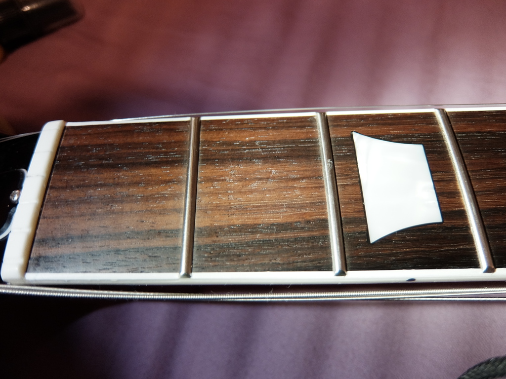 fretboard1k7se0.jpg