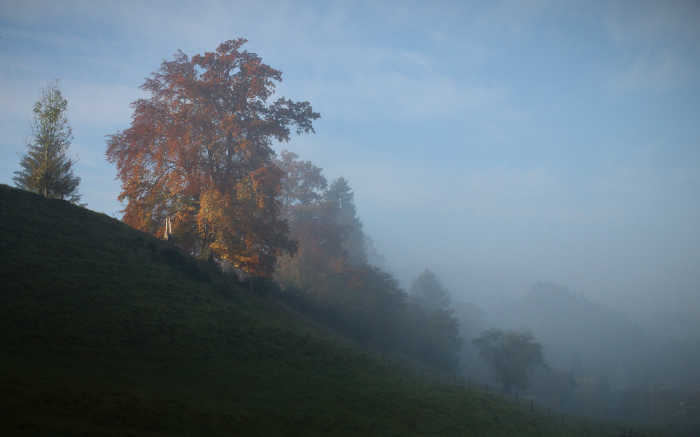 p1060824_1000x625pxgak2g.jpg