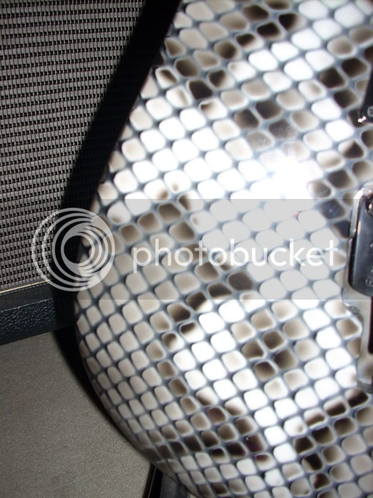 DSCN4037.jpg