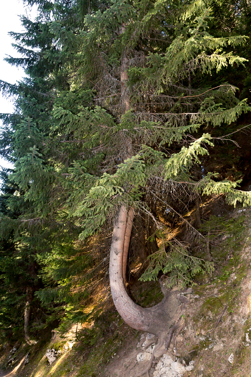 kh5a41111200t4isb.jpg