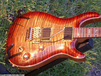 ebay-tigereyeflamed-ct6c.jpg