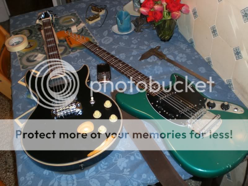 CIMG3684.jpg