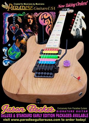 beckerguitar.jpg