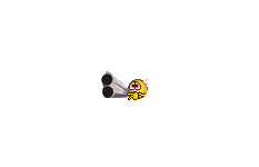 ShotGun5.gif