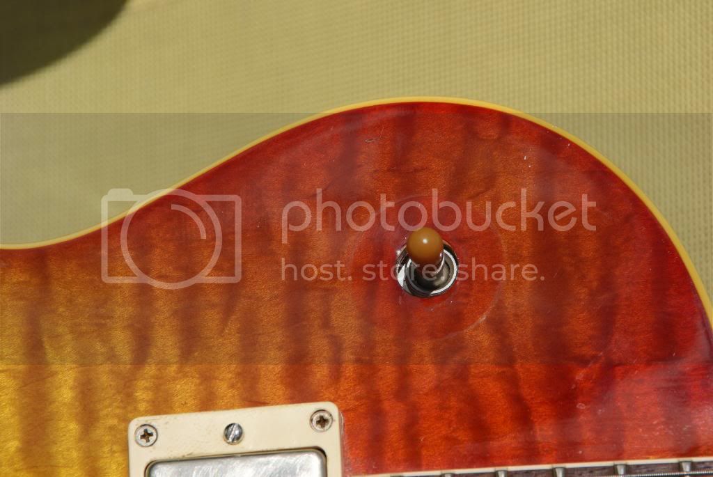 DSC06454.jpg