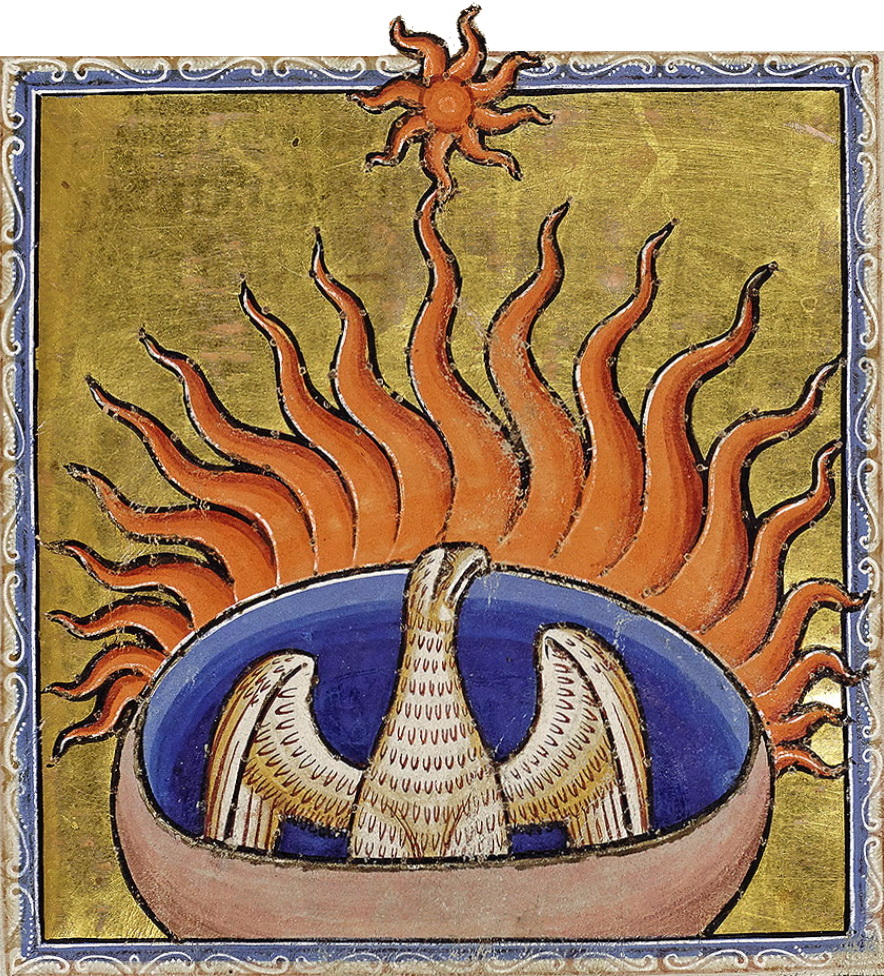 de.wikipedia.org