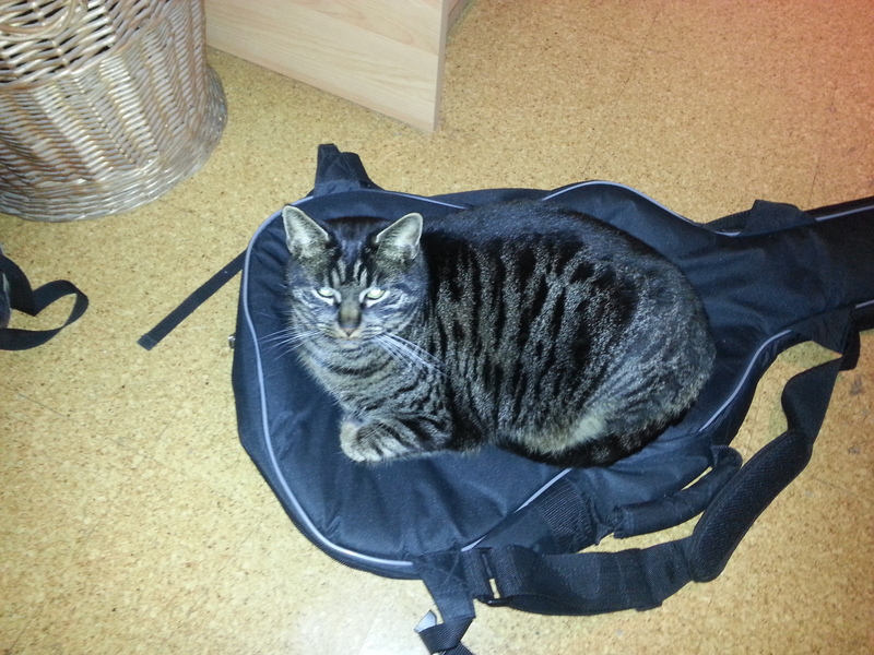 20130305_0718581kxuv.jpg