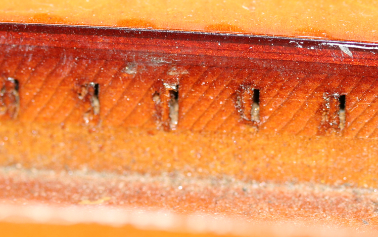 59_laminations.jpg