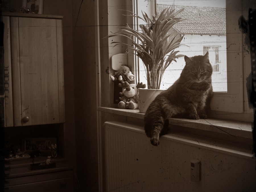 p10305510arzi.jpg