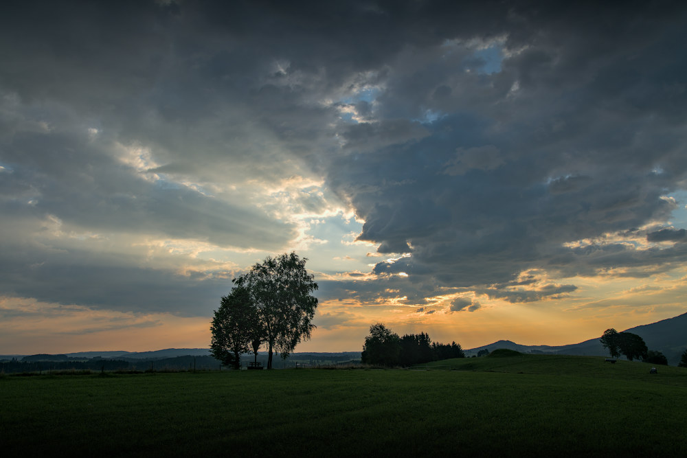 p1012245_1000x667pxyjj5l.jpg