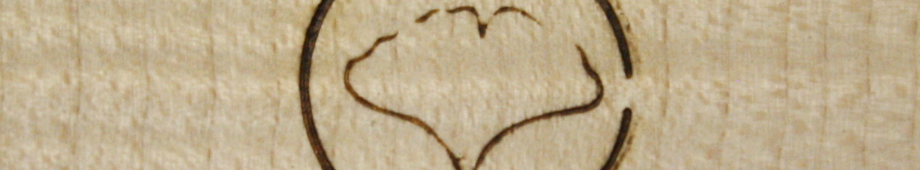 www.gitarrenbauwerkstatt.de