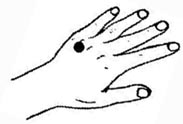 9-Gamutklein_Kopie.JPG
