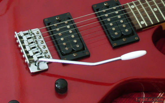 whammy_bar2.jpg