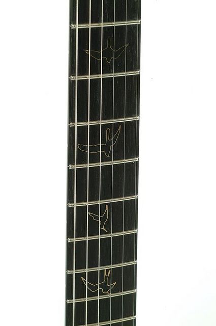 PRSPS21_inlays-2.jpg