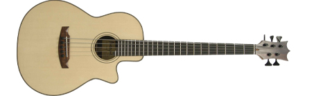 Akustik%20Bass%20001.jpg