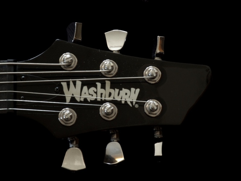 WFV-4.jpg