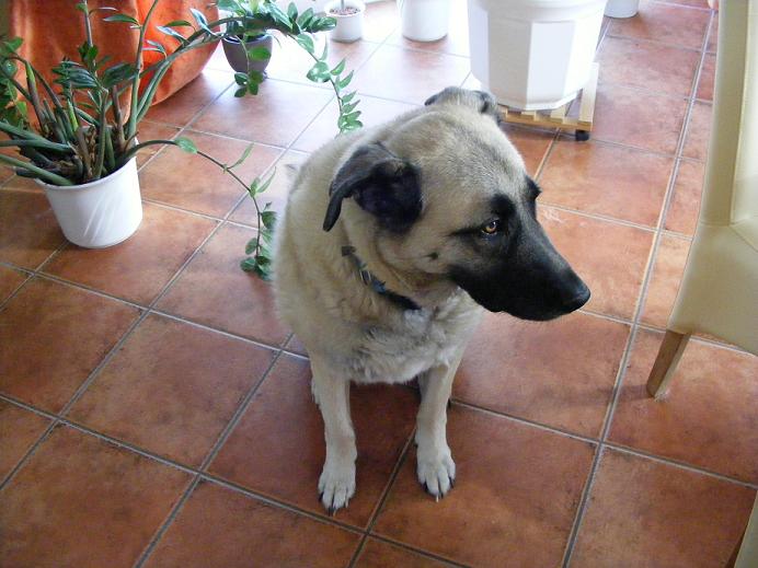 dscf1045muua.jpg