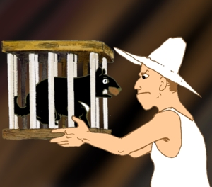 clip7.jpg