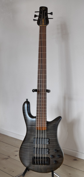 spectorforte5.jpg