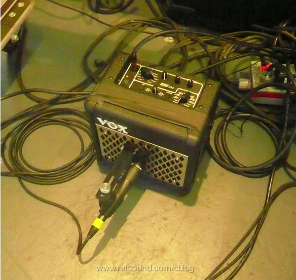 melb_pet_amp.jpg