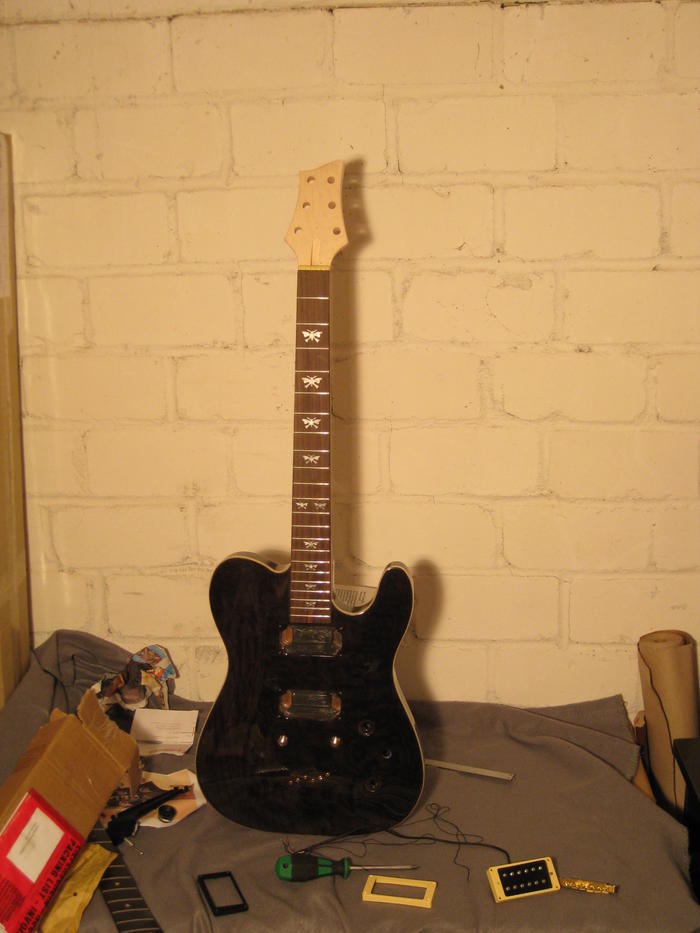 6995339ter.jpg