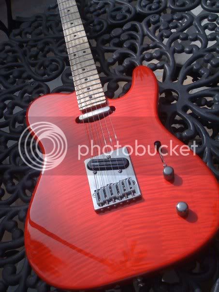 Richiesnewguitar.jpg