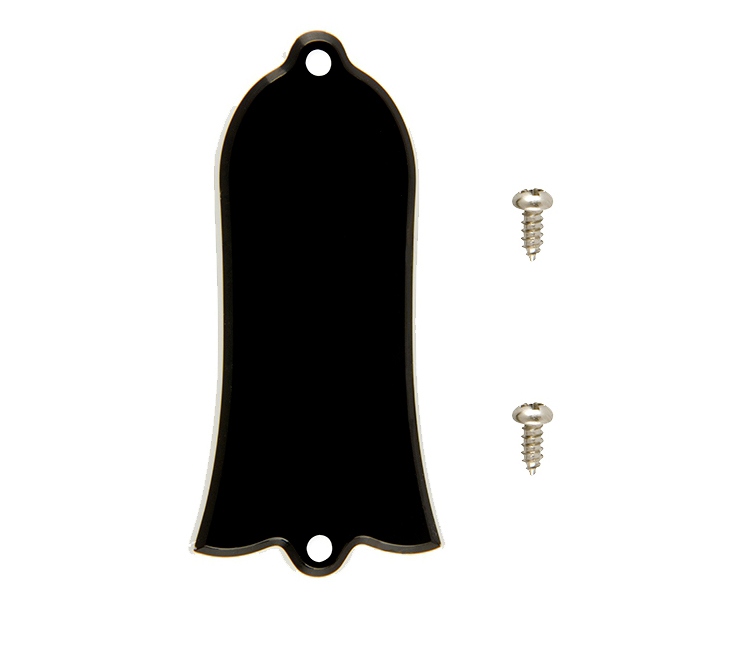 Gibson_Truss_Rod_Cover_Blank.jpg
