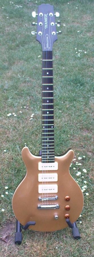 _wsb_331x899_goldtop1.jpg