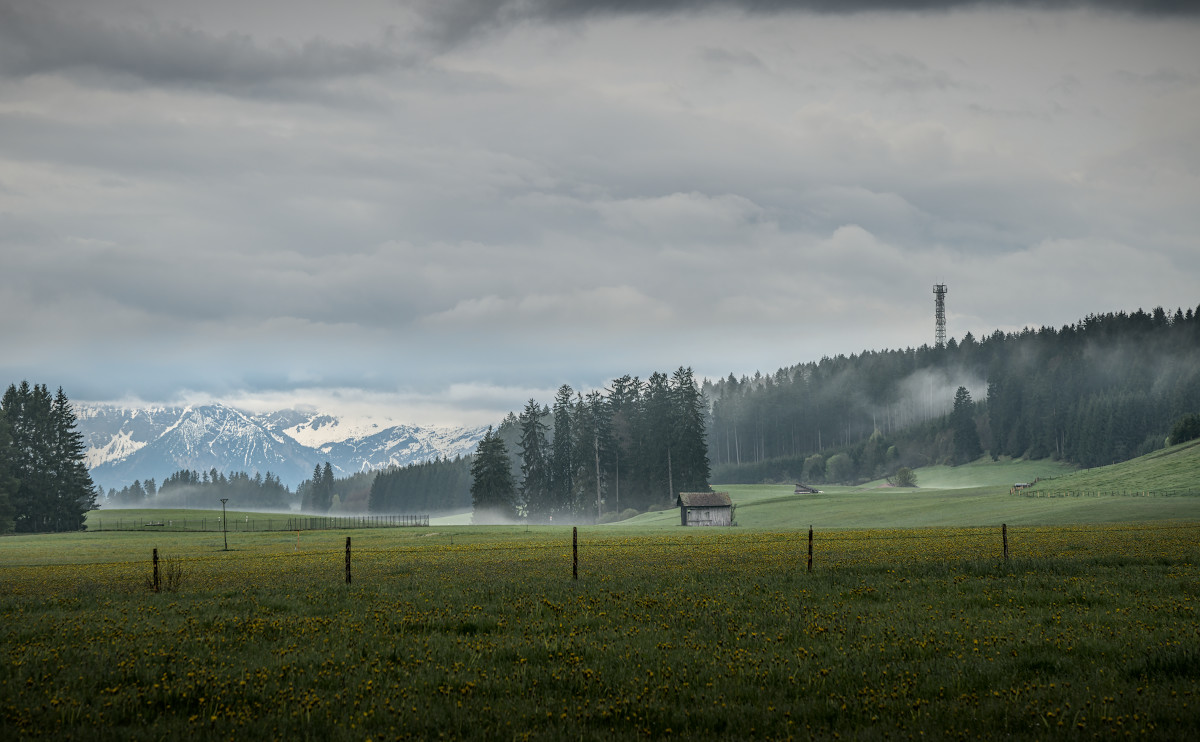 p1024407a_1200x742pxrmctu.jpg