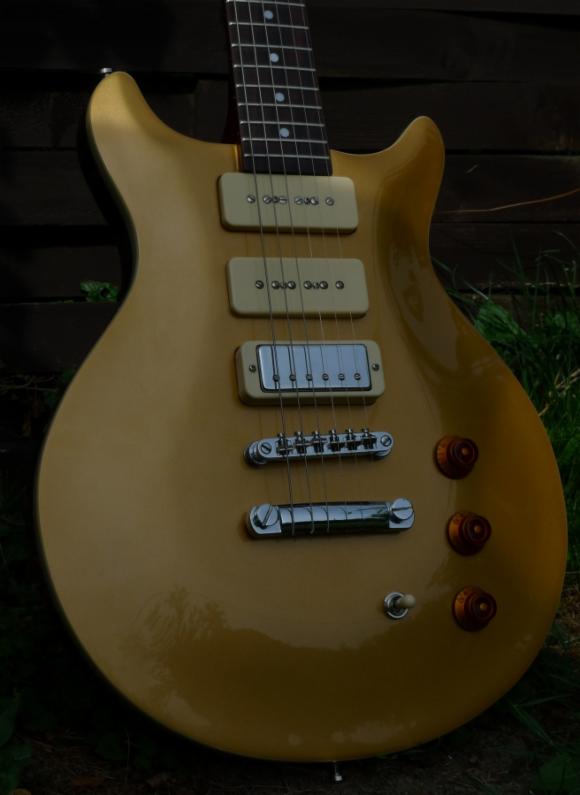 _wsb_580x794_goldtop_body2.jpg