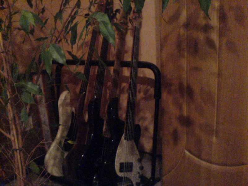 bass2.jpg