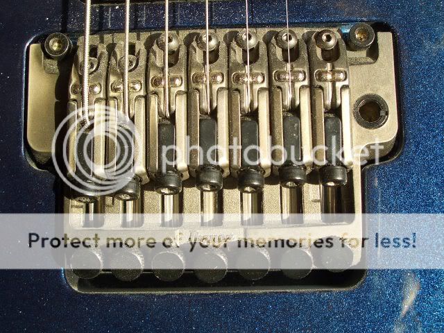 2077_Tremolo_CIMG5170_small.jpg