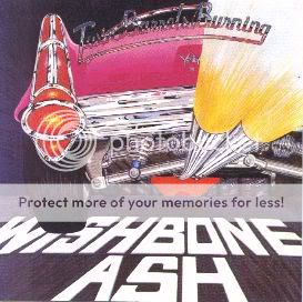 wishboneash.jpg