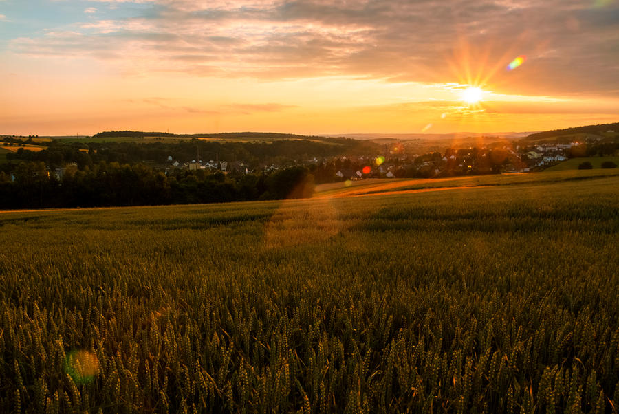 sunset_by_roman89-d7nmacf.jpg