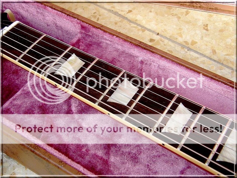 MadagaskarRosewood.jpg