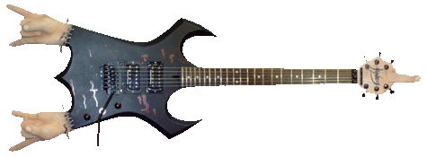 jasonkocol_customguitar.gif