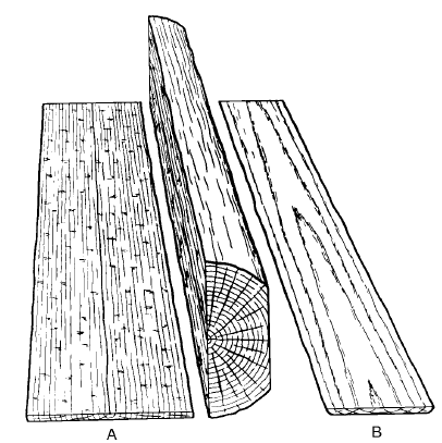 Plain_quarter_sawn.png