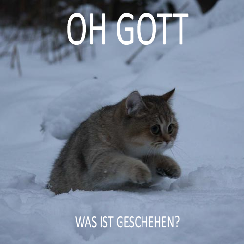 12630264800012vsq.png