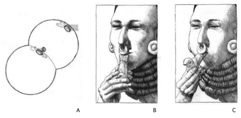 fig_26_a-c.jpg