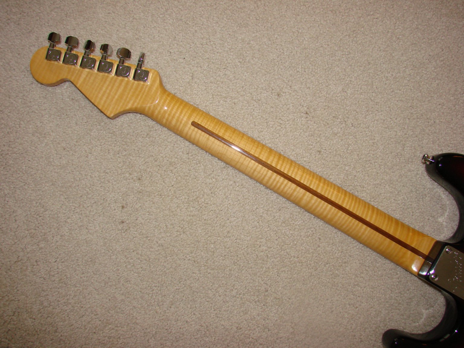 Strat%20Neck%20Back.jpg