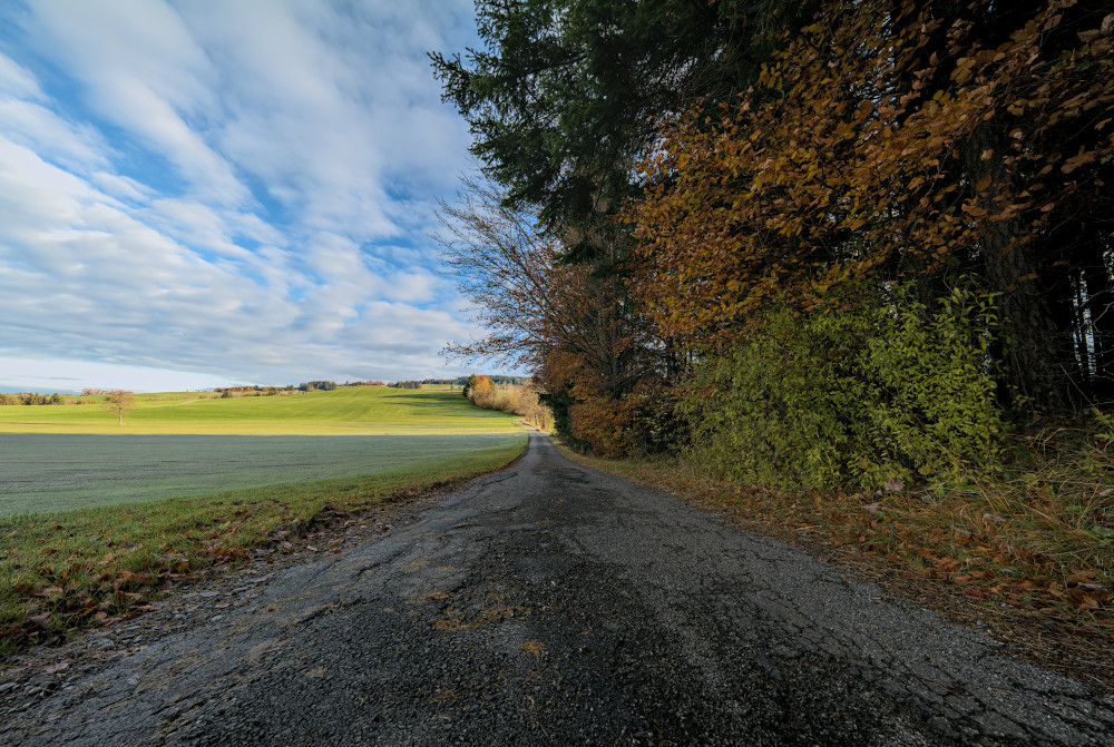 p1012988_1000x671px4akdr.jpg