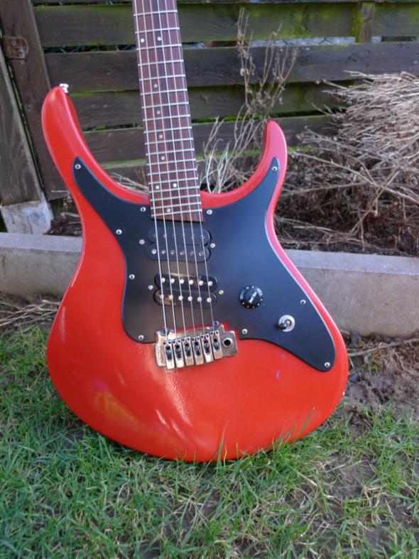 _wsb_590x786_rev_body.JPG