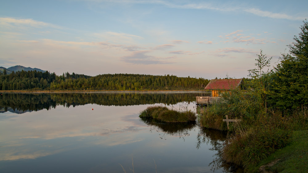 p1012644c_1000x562pxr3jci.jpg