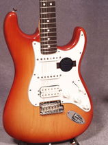 FNASSH-SSB-RSWD_body-front_sm_.jpg