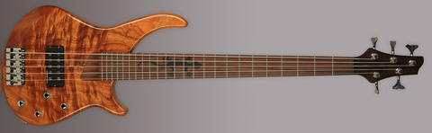 gecko_5string.jpg