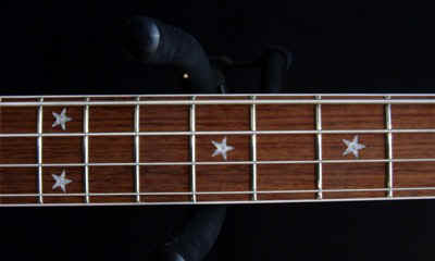 4004lk-frets.jpg