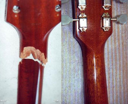restorationbluebird.jpg