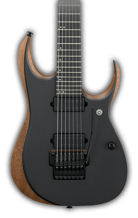 www.ibanez.com