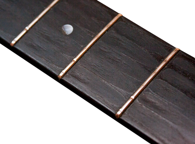 electric-guitar-worn-frets.png