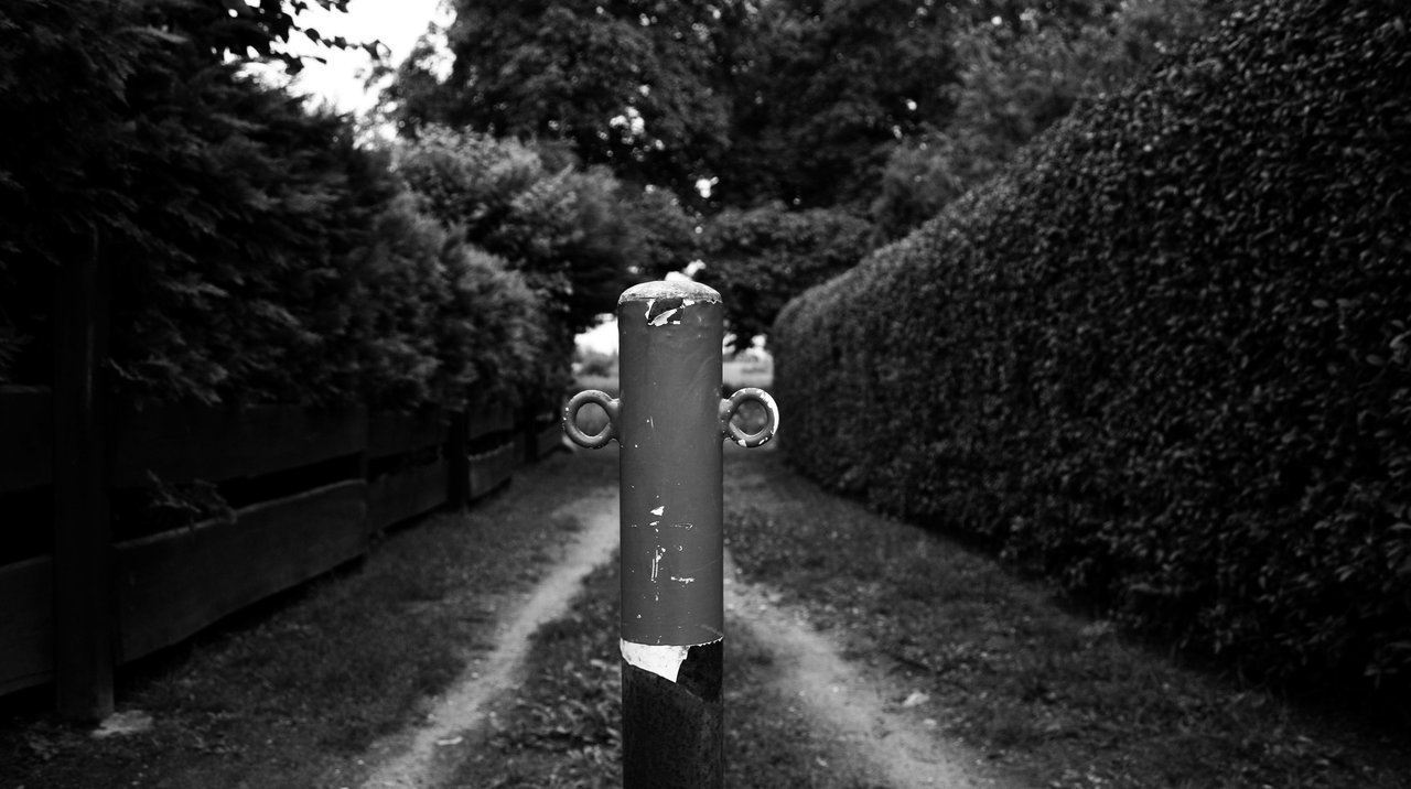 i_am_watching_you_by_roswell1947-d3bq5aq.jpg